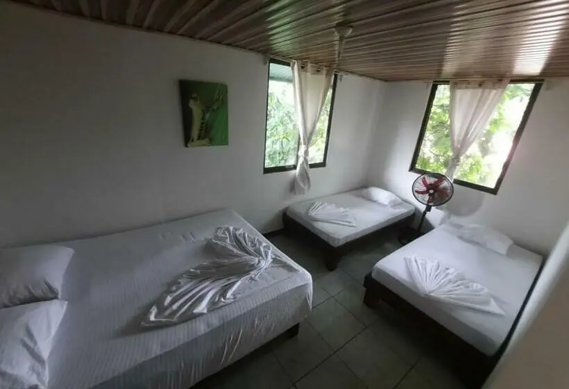 اتاق استاندارد چهار تخته, Casa Caribe