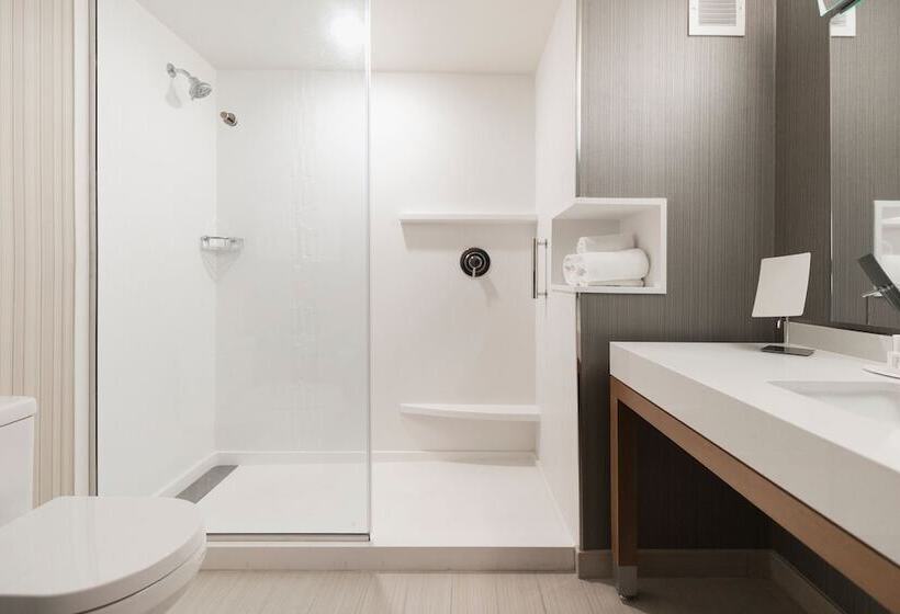 غرفه قياسيه سريرين مزدوجين, Courtyard Amelia Island