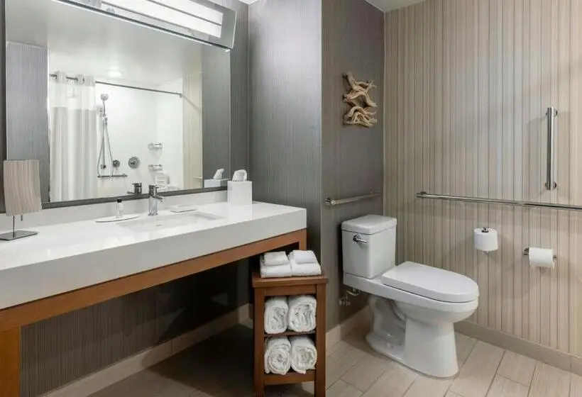 اتاق استاندارد با تخت دو نفره بزرگ, Courtyard Amelia Island
