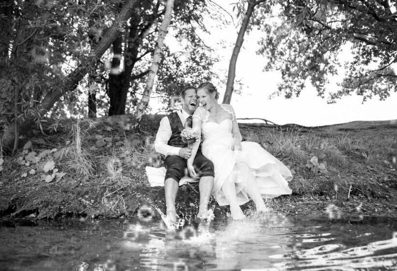 주니어 스위트, Landaroma