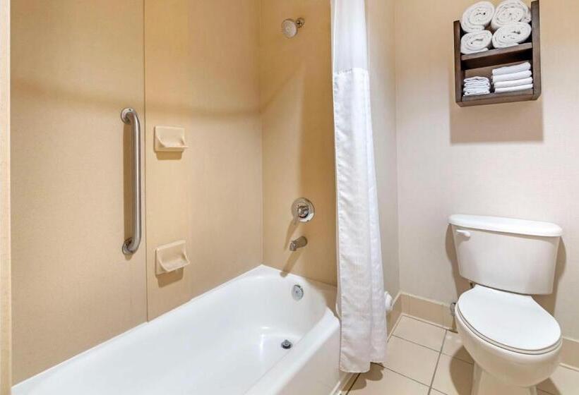 غرفة قياسية سرير كينج, Best Western Plus Kendall Hotel & Suites