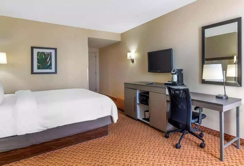 اتاق استاندارد با تخت بزرگ, Best Western Plus Kendall Hotel & Suites