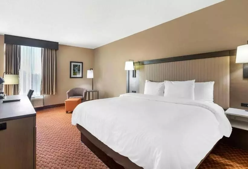 اتاق استاندارد با تخت بزرگ, Best Western Plus Kendall Hotel & Suites