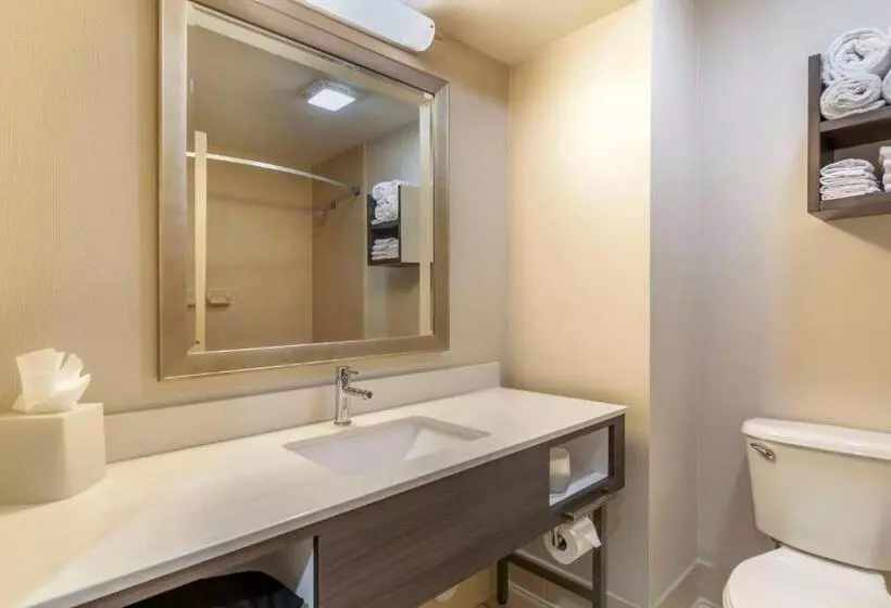 اتاق استاندارد, Best Western Plus Kendall Hotel & Suites