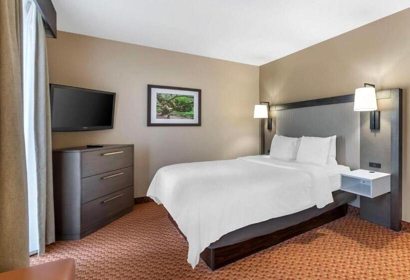 סוויטת ג'וניור, Best Western Plus Kendall Hotel & Suites