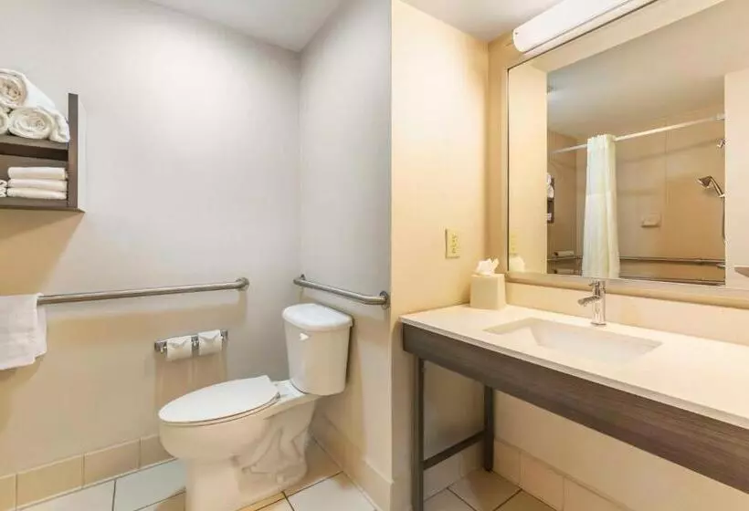اتاق استاندارد با تخت بزرگ برای معلولان, Best Western Plus Kendall Hotel & Suites