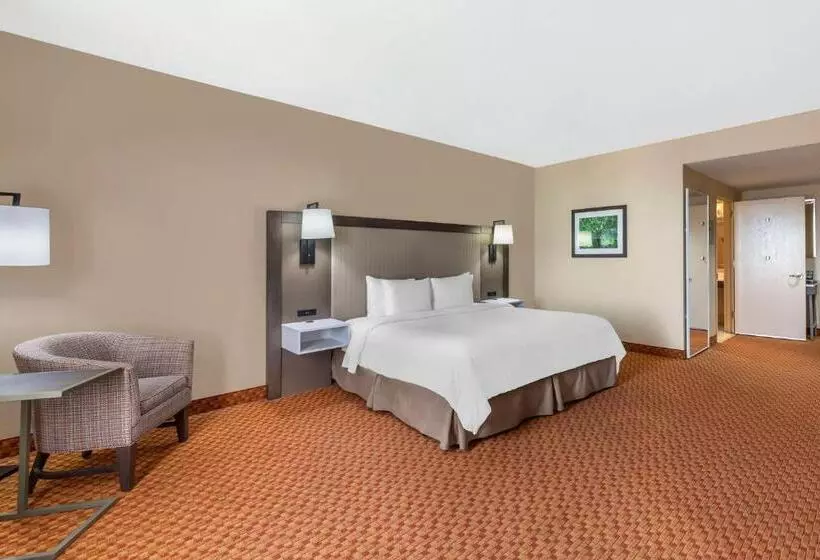 اتاق استاندارد با تخت بزرگ برای معلولان, Best Western Plus Kendall Hotel & Suites