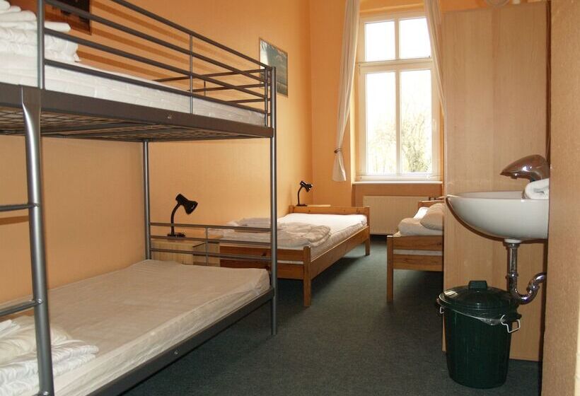 اتاق استاندارد چهارنفره با سرویس بهداشتی مشترک, Happy Go Lucky Hotel + Hostel