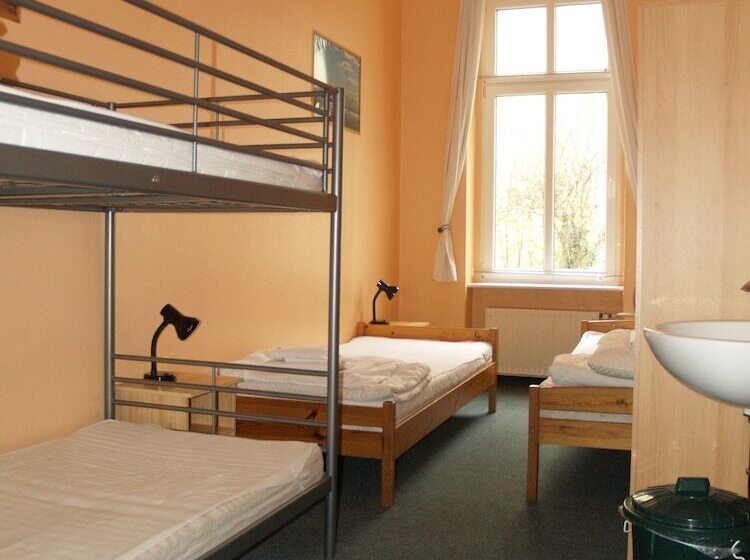 Bed in Shared Room with Shared Bathroom, Happy Go Lucky Hotel + Hostel