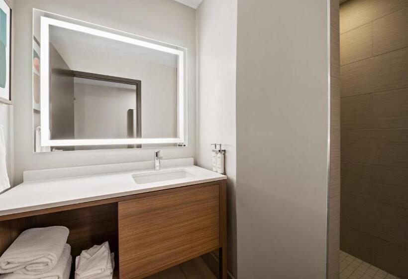 스위트 킹사이즈 침대, Holiday Inn & Suites Albuquerque Airport, An Ihg