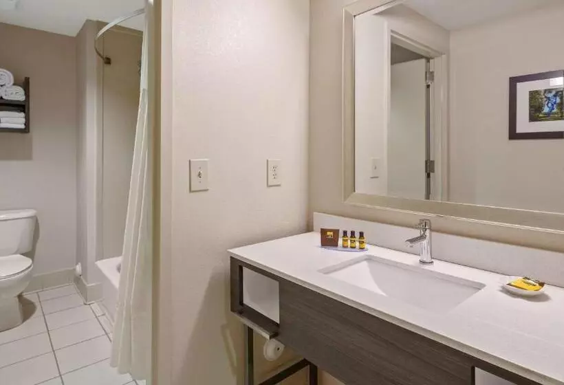 سوییت جونیور, Best Western Plus Kendall Hotel & Suites