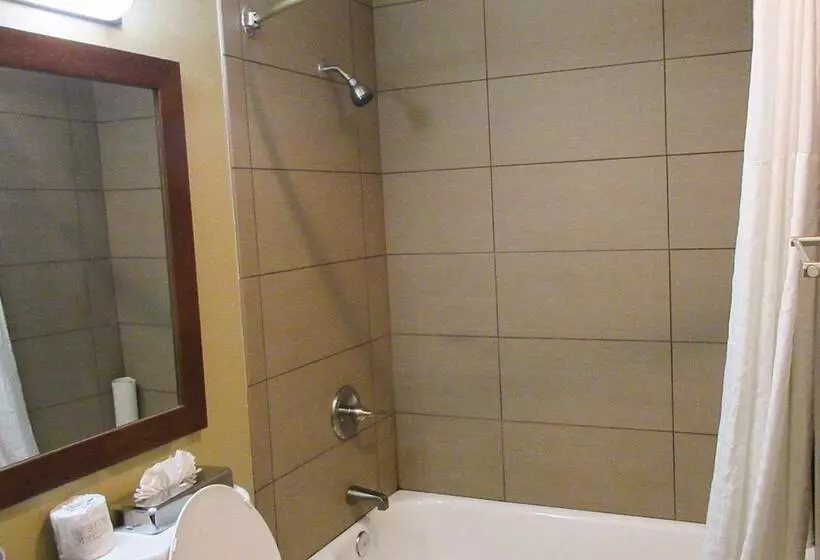 ２ダブルベッドのスタンダードルーム, Comfort Inn Modesto