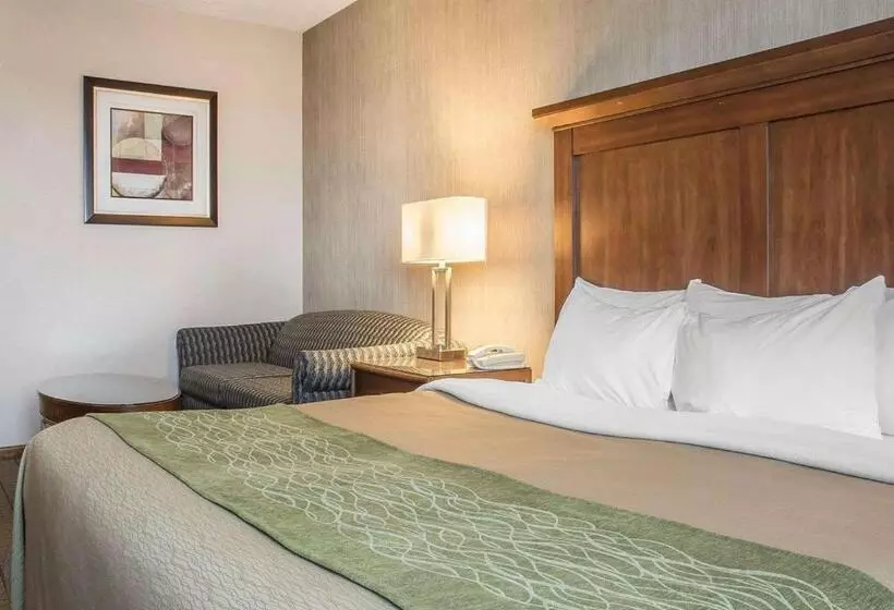 キングサイズベッドのスタンダードルーム, Comfort Inn