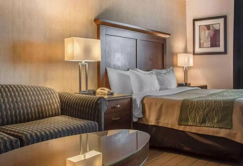 キングサイズベッドのスタンダードルーム, Comfort Inn