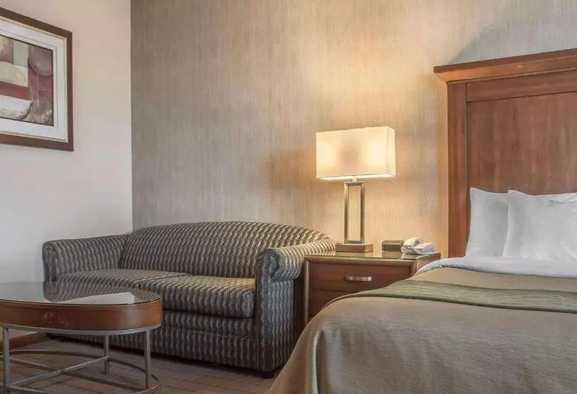キングサイズベッドのスタンダードルーム, Comfort Inn