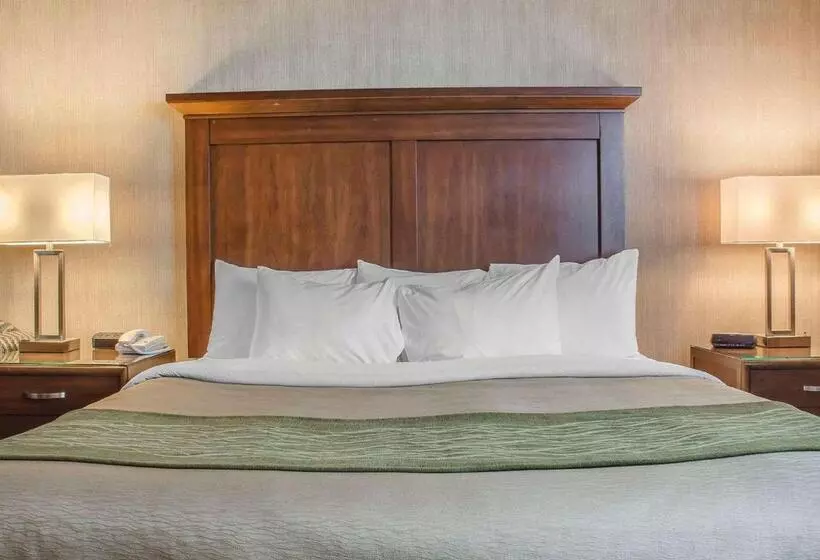 キングサイズベッドのスタンダードルーム, Comfort Inn