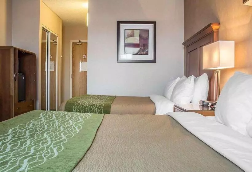 スタンダードルーム, Comfort Inn