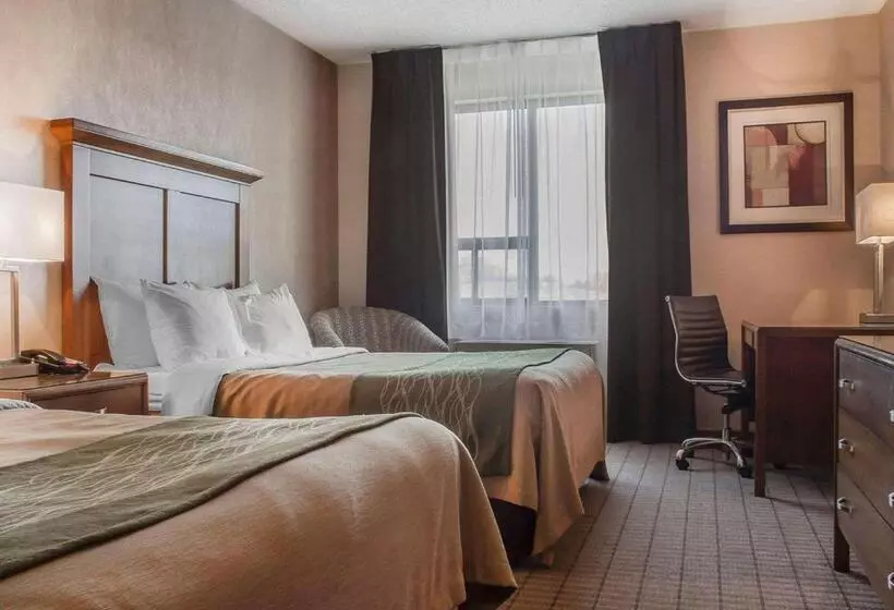 スタンダードルーム, Comfort Inn