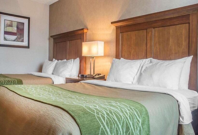 标准间, Comfort Inn