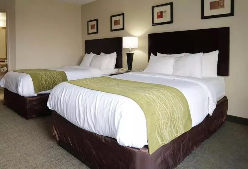 2ダブルベッドのスタンダードルーム, Comfort Inn Southwest Fwy At Westpark