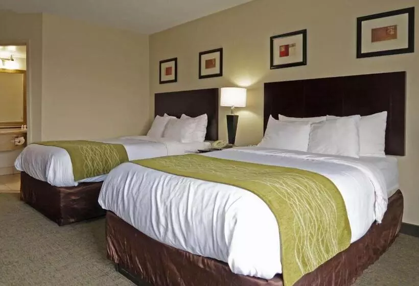 2ダブルベッドのスタンダードルーム, Comfort Inn Southwest Fwy At Westpark