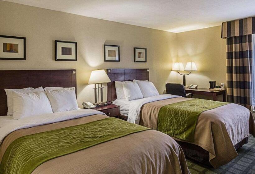 带2个双人床的标准工作室, Comfort Inn Southwest Fwy At Westpark