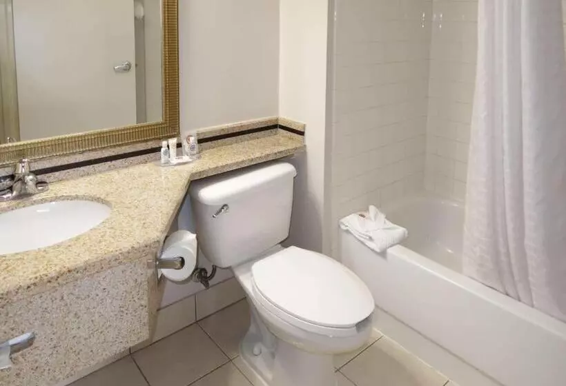 キングサイズベッドのスタンダードルーム, Comfort Inn Southwest Fwy At Westpark