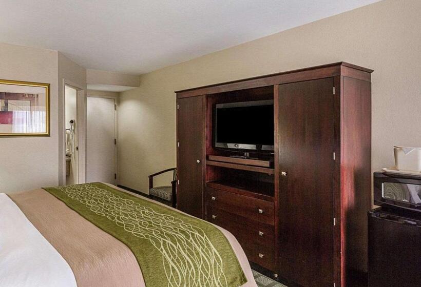 带大床的标准间, Comfort Inn Southwest Fwy At Westpark