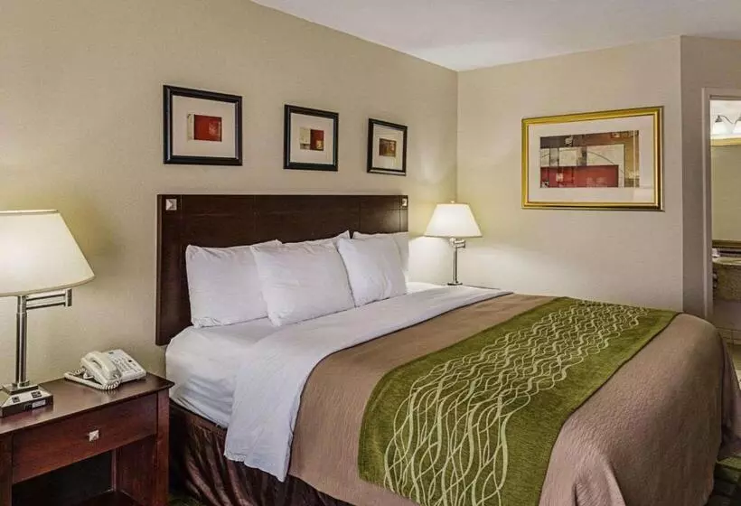 キングサイズベッドのスタンダードルーム, Comfort Inn Southwest Fwy At Westpark