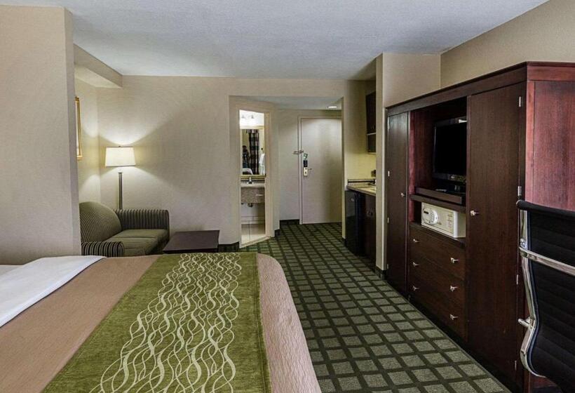 キングサイズベッドのスイートルーム, Comfort Inn Southwest Fwy At Westpark