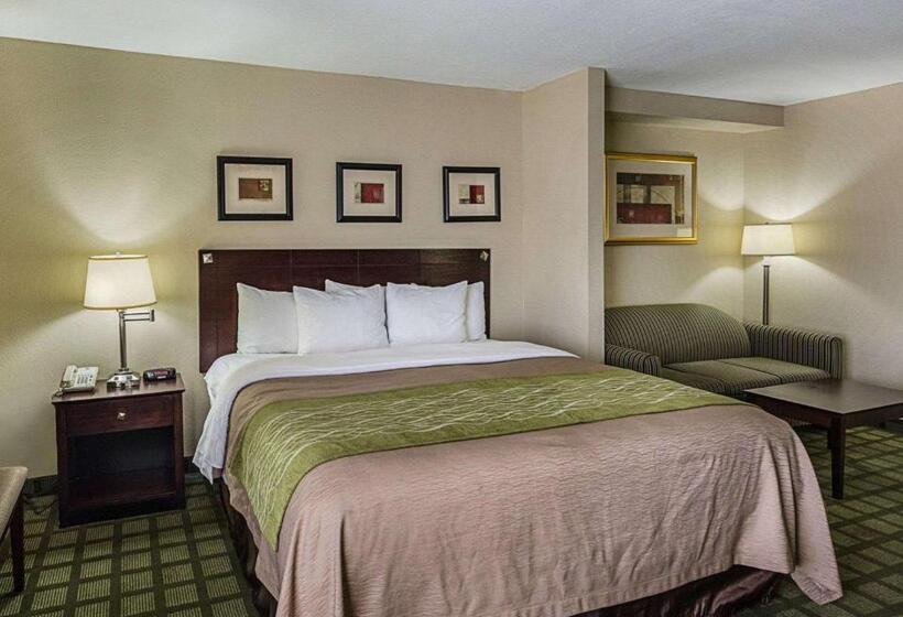 스위트 킹사이즈 침대, Comfort Inn Southwest Fwy At Westpark
