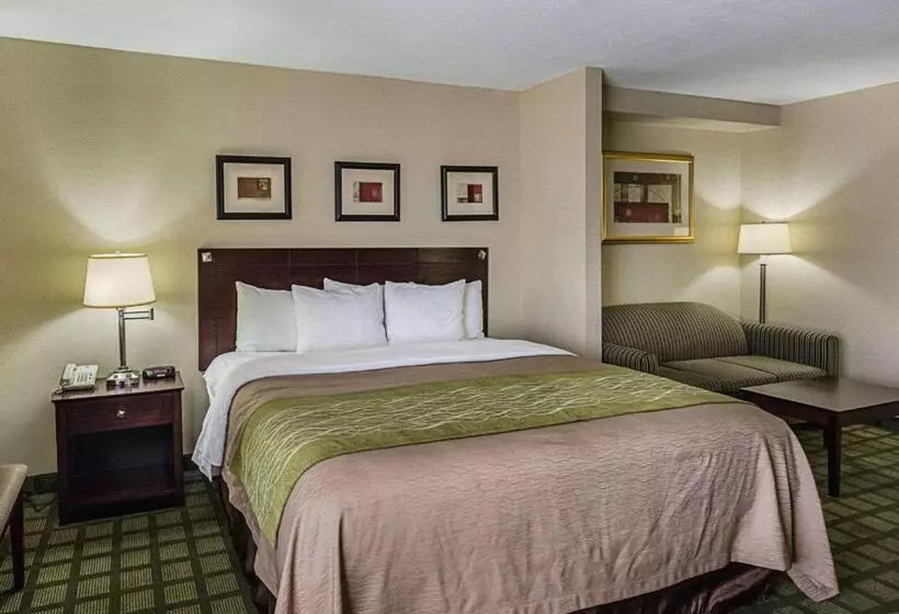 キングサイズベッドのスイートルーム, Comfort Inn Southwest Fwy At Westpark