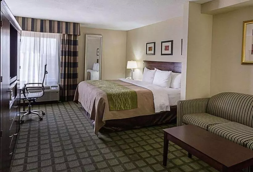 キングサイズベッドのスイートルーム, Comfort Inn Southwest Fwy At Westpark