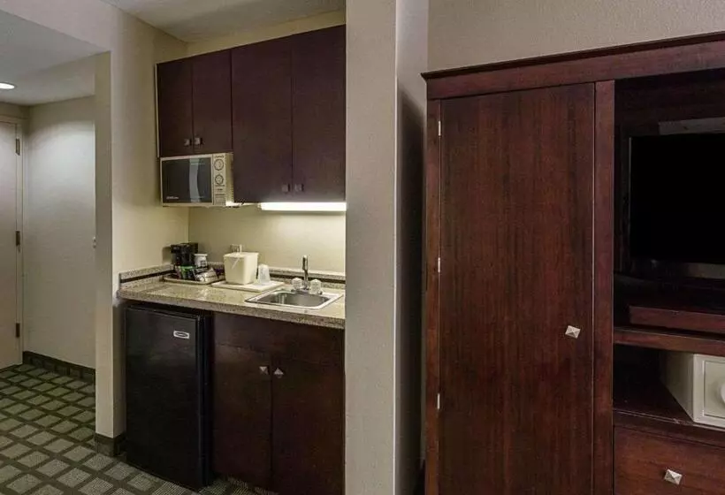 キングサイズベッドのスイートルーム, Comfort Inn Southwest Fwy At Westpark