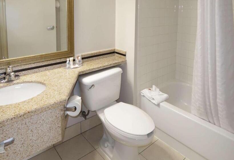 适合残疾人士使用的带超级大床的标准间, Comfort Inn Southwest Fwy At Westpark