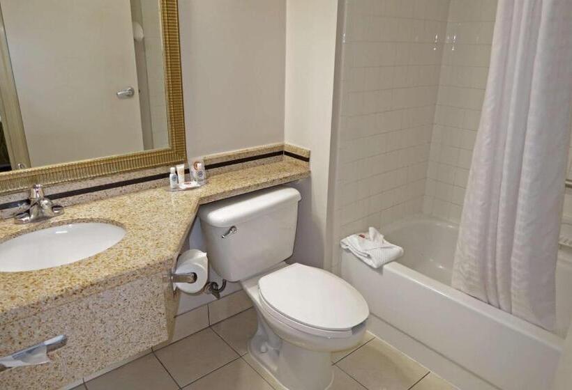 适合残疾人士使用的带超级大床的标准间, Comfort Inn Southwest Fwy At Westpark