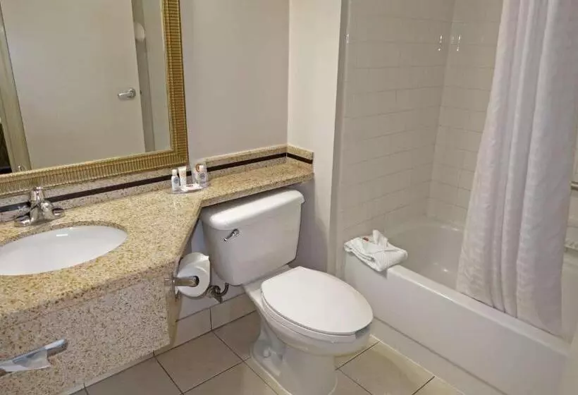 身障者適用キングサイズベッドルーム, Comfort Inn Southwest Fwy At Westpark