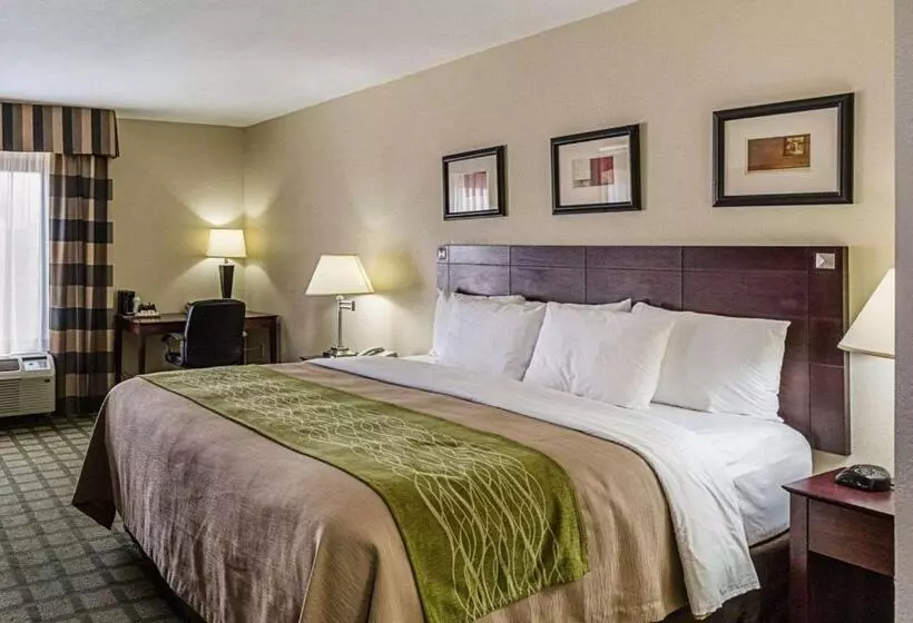 身障者適用キングサイズベッドルーム, Comfort Inn Southwest Fwy At Westpark
