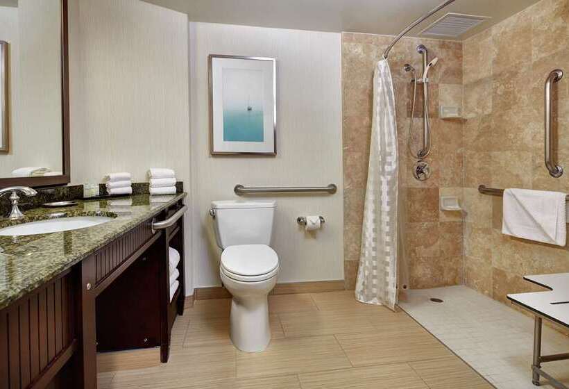 스탠다드 룸, Embassy Suites Williamsburg