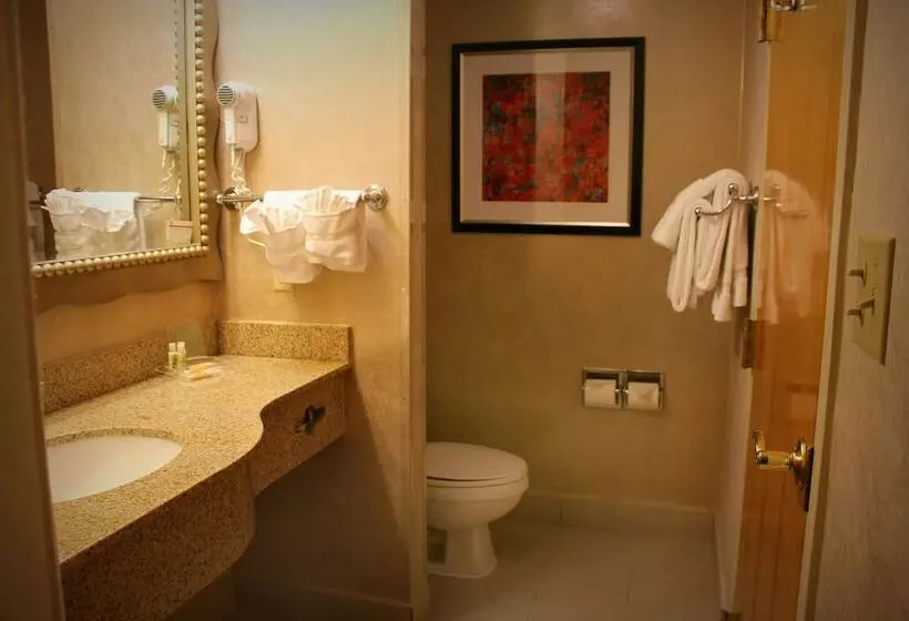 スタンダードルーム, Holiday Inn & Suites Albuquerque Airport, An Ihg