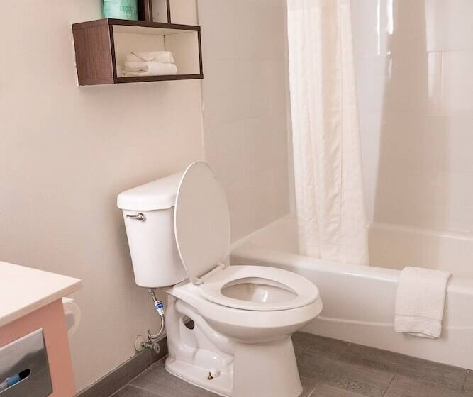 Номер Стандарт 2 Двуспальные Кровати, Howard Johnson By Wyndham Clearwater Dunedin