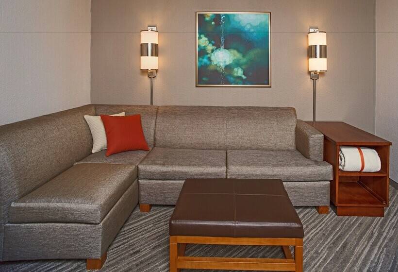 Номер Стандарт 2 Двуспальные Кровати, Hyatt Place Cincinnati Blue Ash