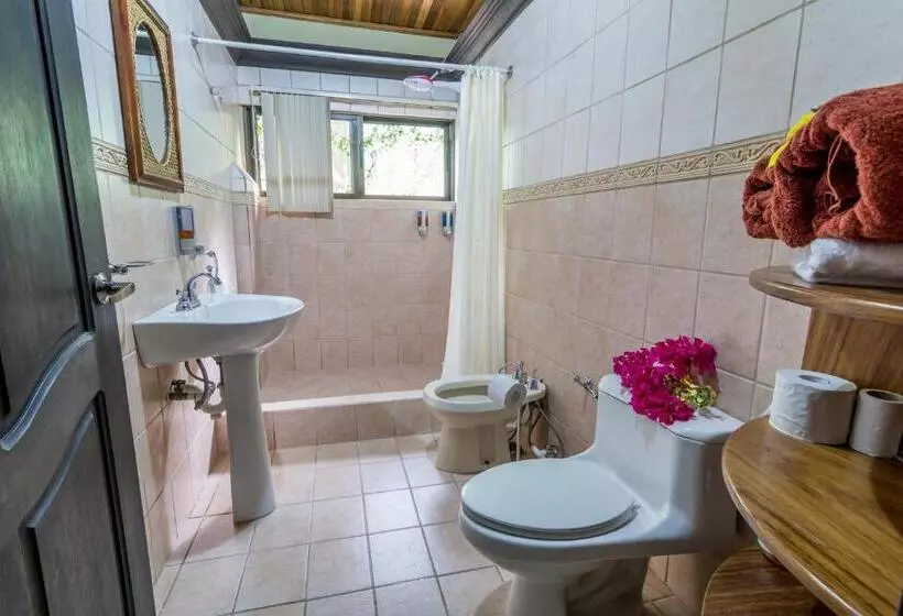 اتاق کلاسیک خانوادگی, Kayak Lodge