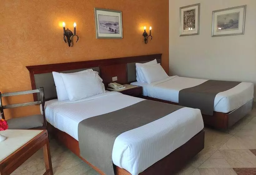 エコノミールーム, Pharaoh Azur Resort