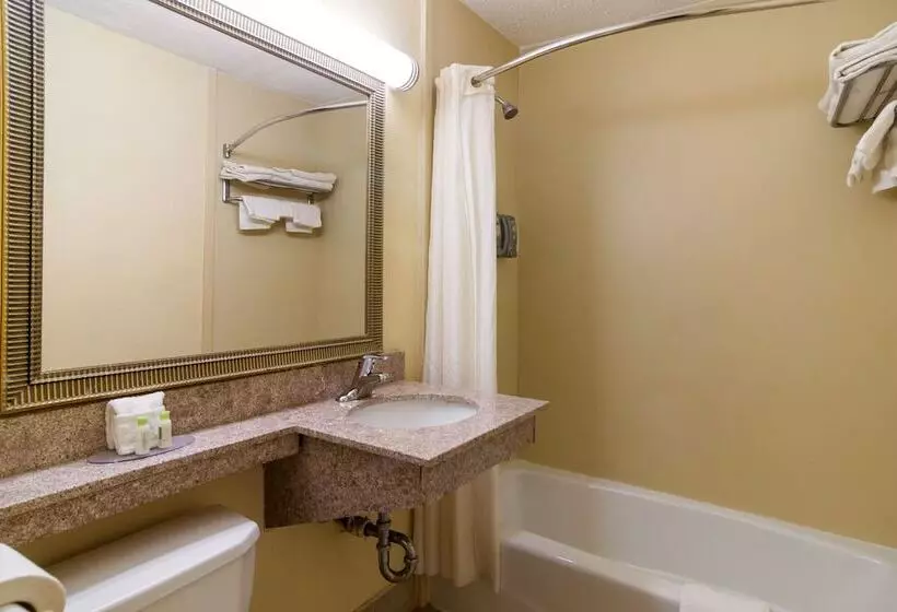 デラックスルーム, Red Carpet Inn Newark  Irvington Nj