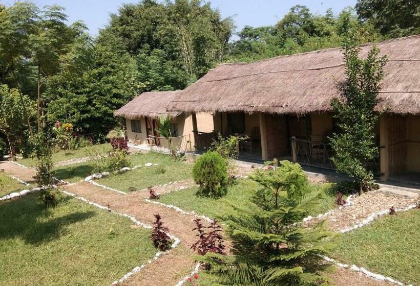 اتاق اکونومی, Chital Lodge