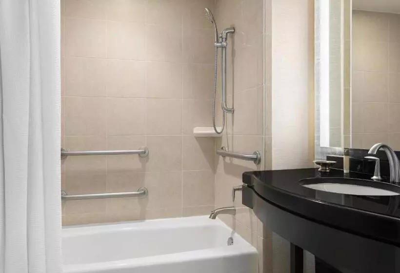 身障者適用クイーンサイズベッドルーム, Gaylord National Resort & Convention Center