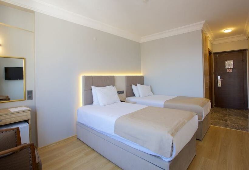 غرفة قياسية فردية, Grand Ant