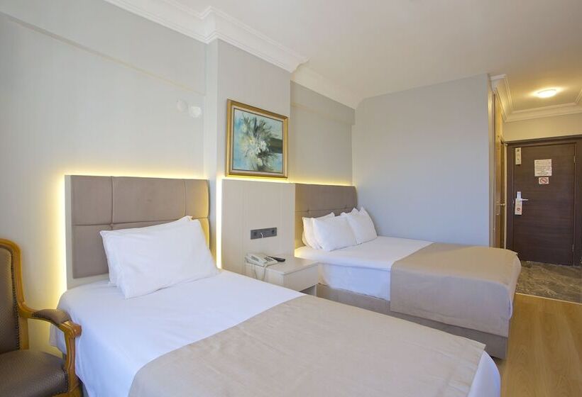 غرفة إقتصادية, Grand Ant