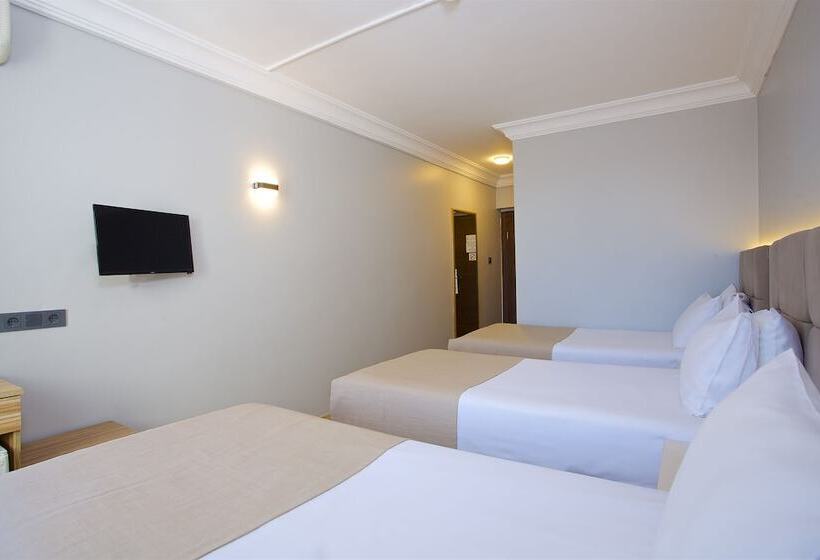 غرفة إقتصادية ثلاثية, Grand Ant